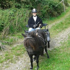 Profilbild von Heike Stachelscheid-Breuer
