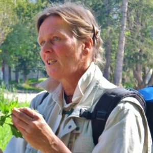Profilbild von Heike Stertz