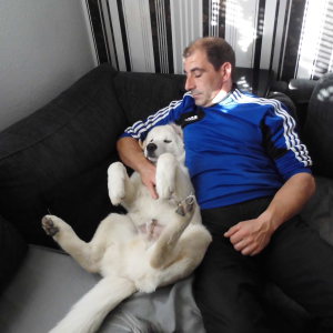 Profilbild von Heiko Friederichsen