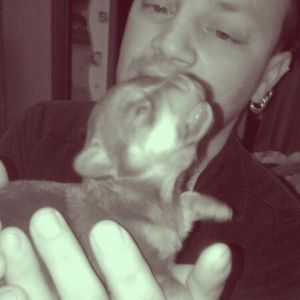 Profilbild von Heiko Jerimias