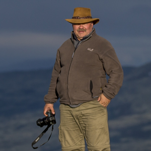 Profilbild von Heiko Teichmann