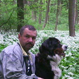 Profilbild von Heiko Vogel