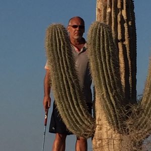 Profilbild von Heiko Werner