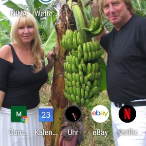 Profilbild von Heiner Meinheit