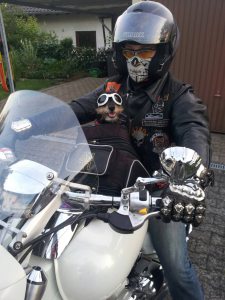 Profilbild von Heinz-Peter Grasekamp