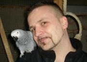 Profilbild von Heitmann Nico