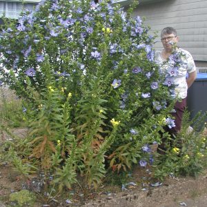 Profilbild von Helene Weinmann