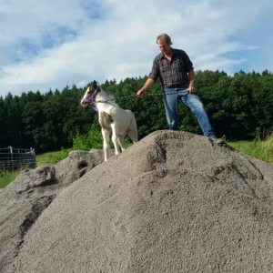 Profilbild von Helge Lobbe