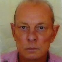 Profilbild von Helge Willert