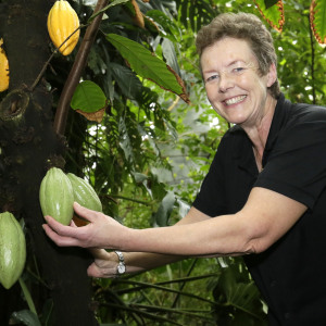 Profilbild von Hella Donner-Heise
