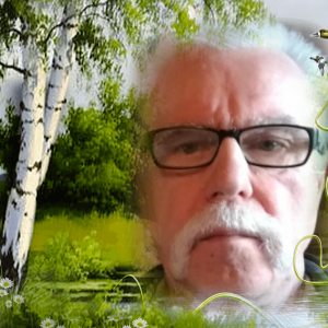 Profilbild von Helmut Giesler