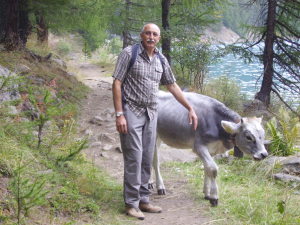 Profilbild von Helmut Gindorf