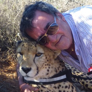 Profilbild von Helmut Wessels