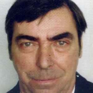 Profilbild von Helmut Wölk