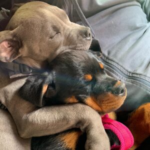 Profilbild von Henning Schulz