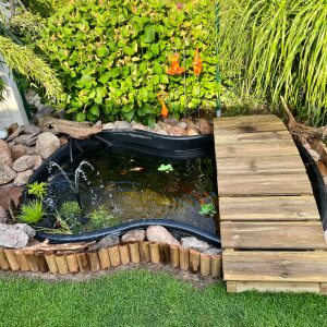 Profilbild von Henry Brüggmann