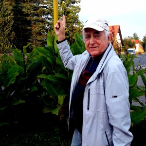 Profilbild von Herbert Dr.klaus