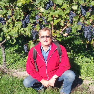 Profilbild von Herbert Wolf