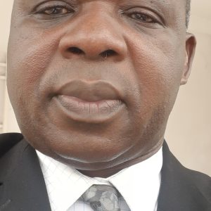 Profilbild von Hervé Borgia Tchissambou