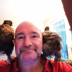 Profilbild von Holger Hintze