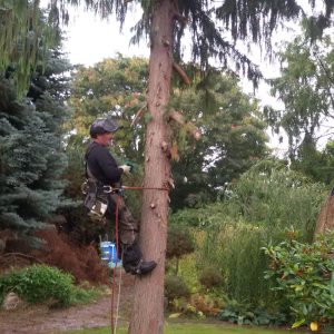 Profilbild von Holger Münch