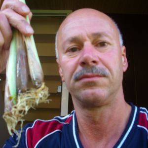 Profilbild von Holger Reichel