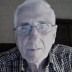 Profilbild von Horst Görner