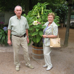 Profilbild von Horst Heickmann