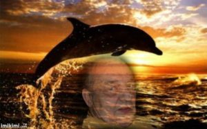 Profilbild von Horst Meier