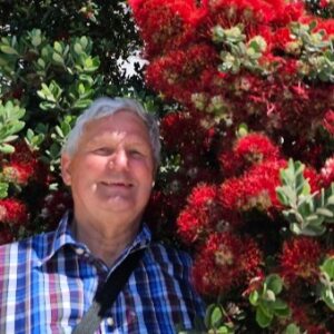 Profilbild von Hubertus Bertling