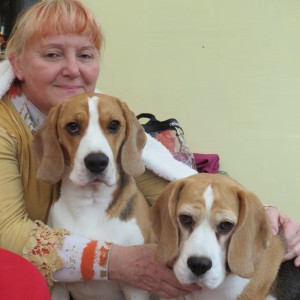 Profilbild von Ilona Feher