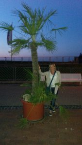 Profilbild von Ilona Fürbach