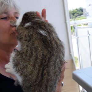 Profilbild von Ilona Glock