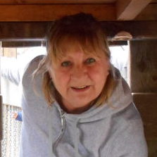 Profilbild von Ilona Nicolaus