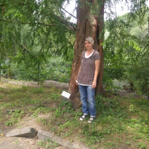 Profilbild von Ilona Rabe