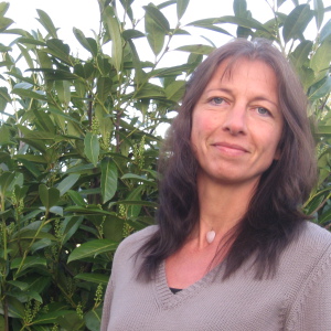 Profilbild von Ina Meyer