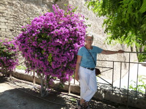 Profilbild von Inge Antons