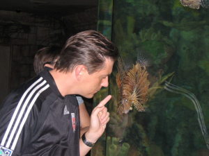 Profilbild von Ingo Hollensteiner