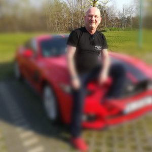 Profilbild von Ingo Pasternack