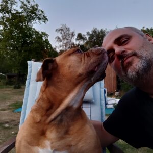 Profilbild von Ingo Rausch