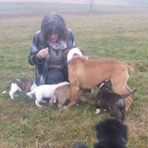Profilbild von Ingrid Sibold