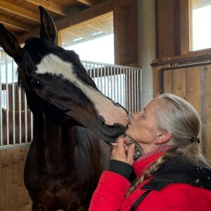 Profilbild von Ingrid Stangl