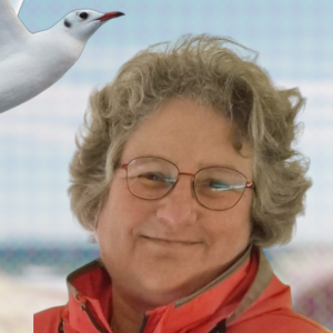 Profilbild von Iris Nadzeika