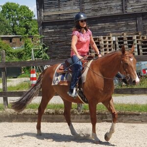 Profilbild von Iris Ohletz