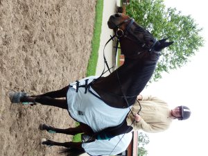 Profilbild von Ivonne Böhler