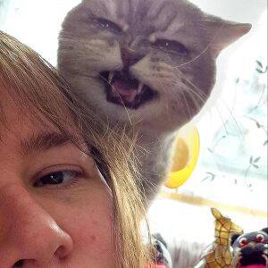 Profilbild von Jacqueline Meurer