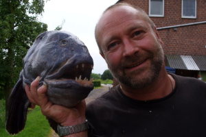 Profilbild von Jan Martens