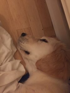 Profilbild von Jan Schreiber