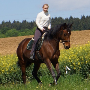 Profilbild von Jana Seel