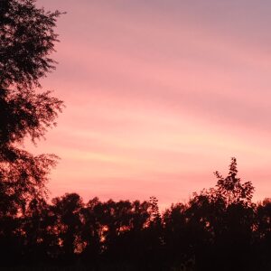 Profilbild von Jana Thielemann